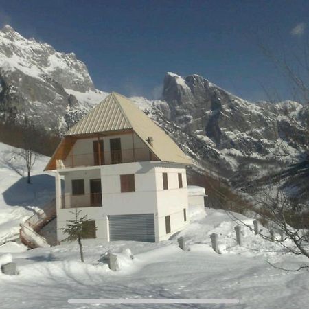 Alpbes Theth Guesthouse Shkodër Eksteriør bilde